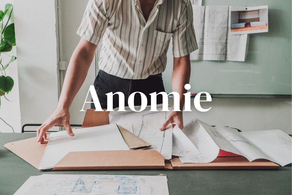 Division of labour: Anomie